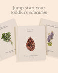 Our Little Adventures: Stories Featuring Foundational Language Concepts For Growing Minds