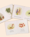 Our Little Adventures: Stories Featuring Foundational Language Concepts For Growing Minds