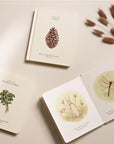 Our Little Adventures: Stories Featuring Foundational Language Concepts For Growing Minds