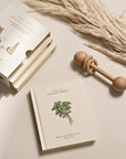 Our Little Adventures: Stories Featuring Foundational Language Concepts For Growing Minds