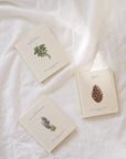 Our Little Adventures: Stories Featuring Foundational Language Concepts For Growing Minds