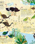 The Big Book of Birds