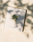 Our Little Adventures: Stories Featuring Foundational Language Concepts For Growing Minds