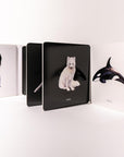 Baby's Black and White Contrast Book: High-Contrast Art for Visual Stimulation at Tummy Time