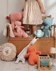 Round Cushion, Small | Teddy, Flower