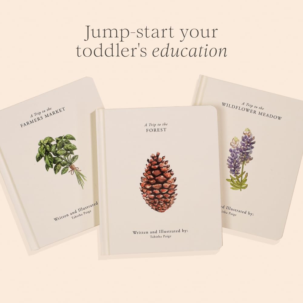 Our Little Adventures: Stories Featuring Foundational Language Concepts For Growing Minds