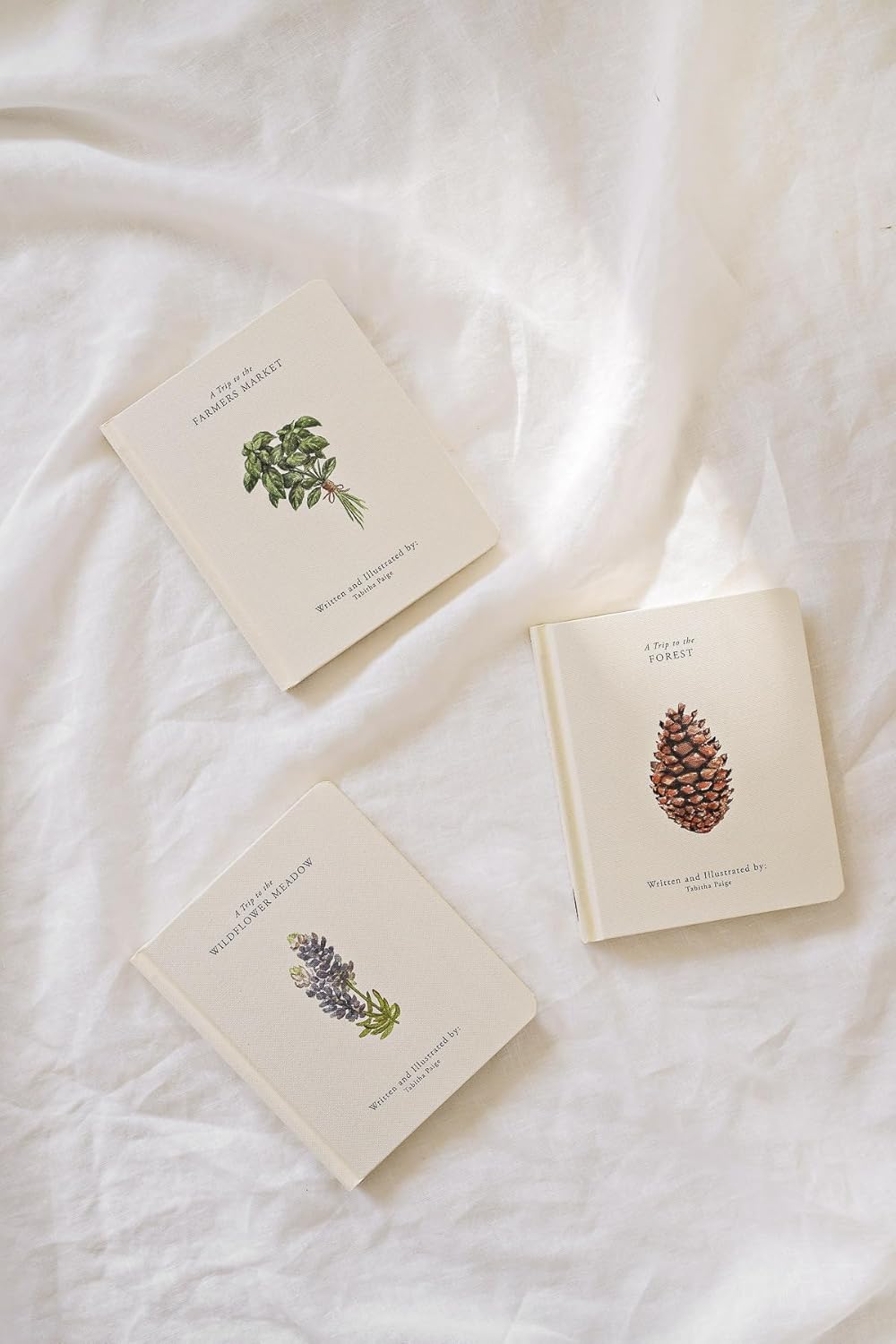Our Little Adventures: Stories Featuring Foundational Language Concepts For Growing Minds
