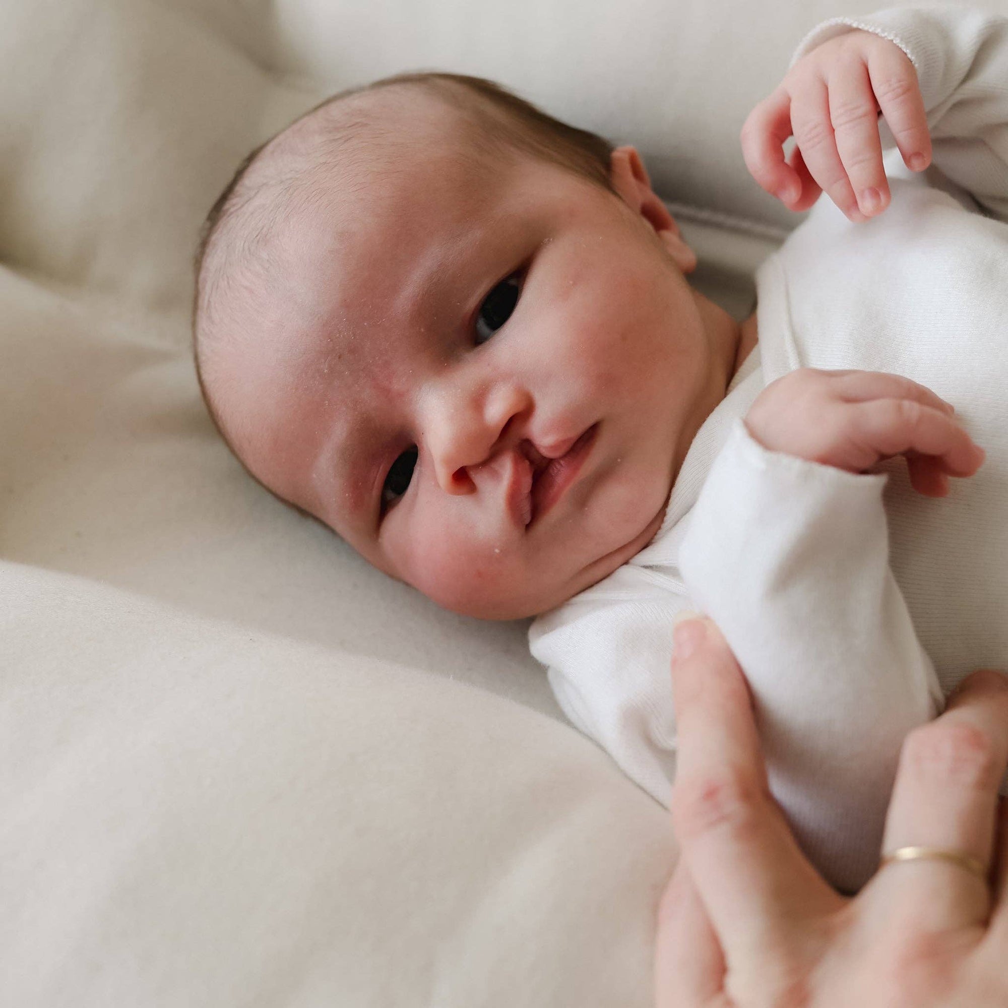 Infant Lounger