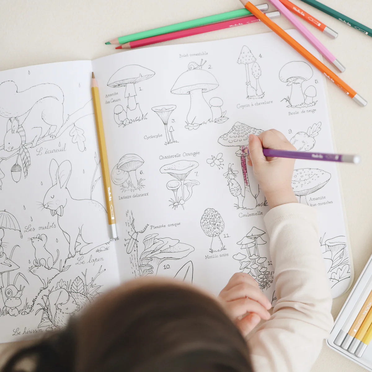 Colouring Book with Stickers | The Botanist