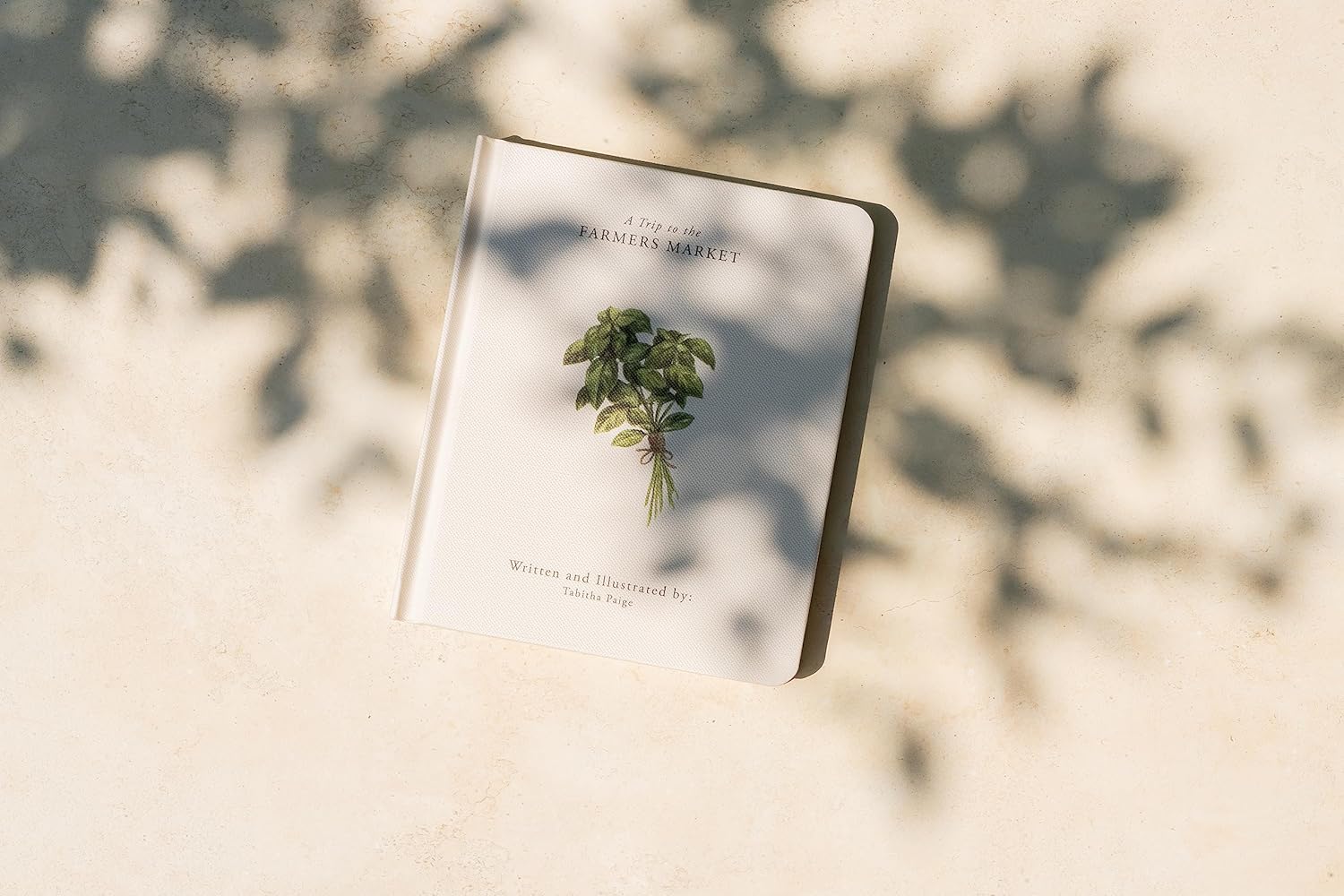 Our Little Adventures: Stories Featuring Foundational Language Concepts For Growing Minds