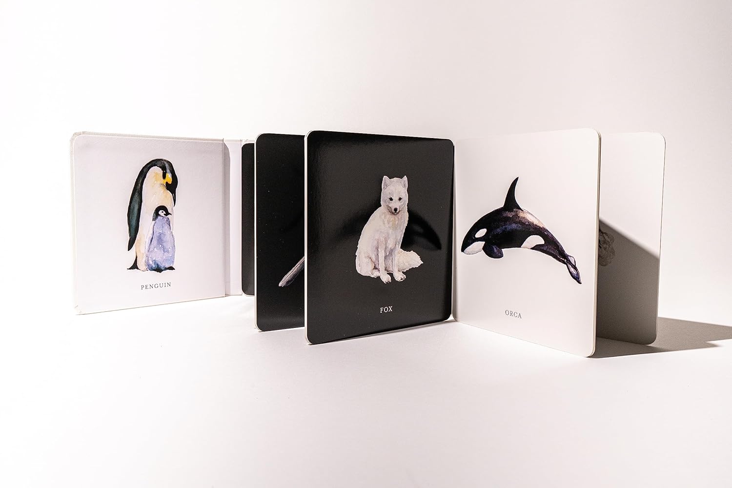 Baby&#39;s Black and White Contrast Book: High-Contrast Art for Visual Stimulation at Tummy Time