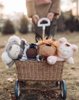 Cozy Dinkums | Piggy Pickle